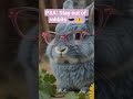 Stay out of Rabbits 🕳