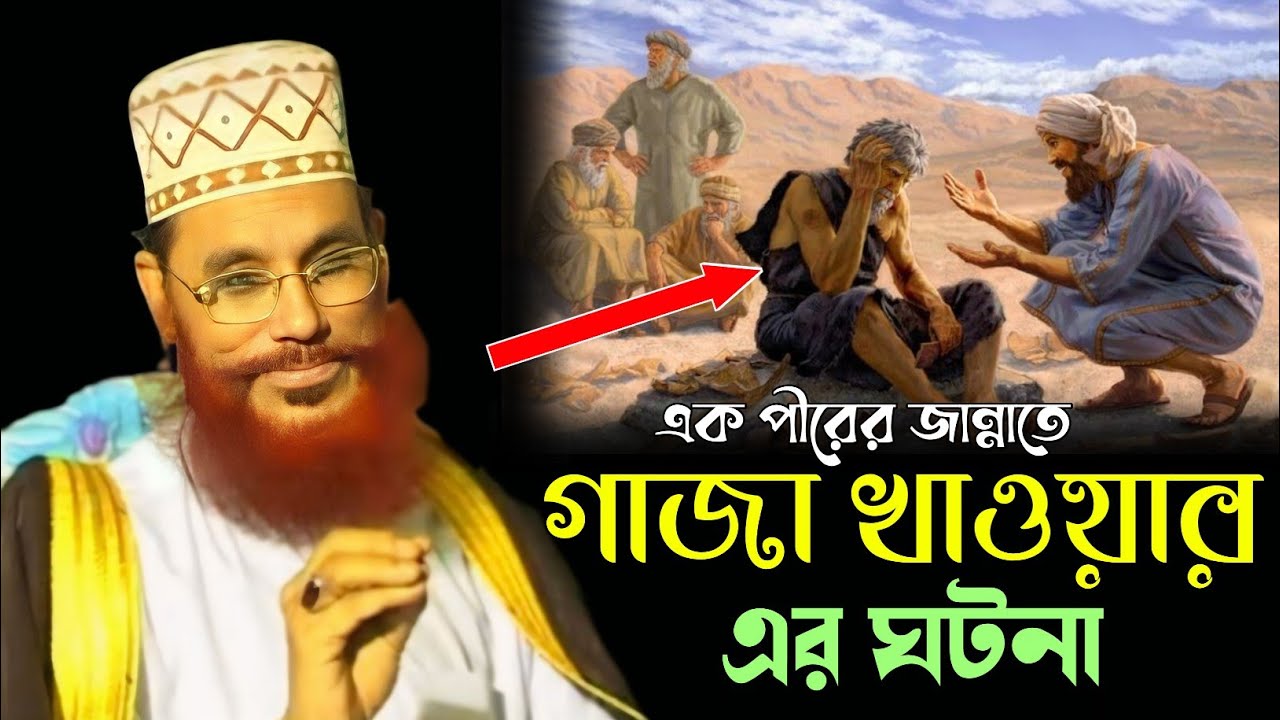 এক পীরের জান্নাতে গাজা খাওয়ার ঘটনা।। আল্লামা দেলোয়ার হোসেন সাঈদি Dalwar Hossain Saidi 2025