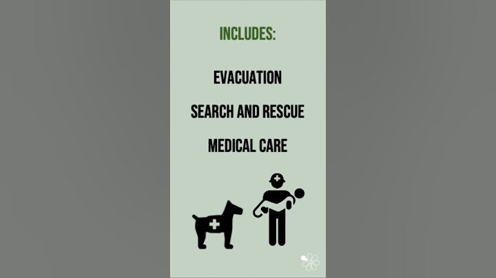 Immediate Responses to Weather Hazards | 60 Second Geography on Weather Hazards