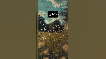 #المصحف #القرآن_الكريم #quran #تلاوة_خاشعة #تلاوة #تلاوة_قرآن #راحه_نفسية #الذكر #ترتيل_خاشع