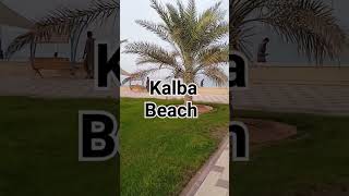 Nice place In UAE Kalba beach #travel screenshot 3