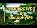 Температура воды в аквариуме. Как повысить или снизить температуру воды в аквариуме.