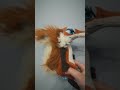 МОЯТА КАТЕРИЦА ОТ ЛЕДЕНА ЕПОХА 
