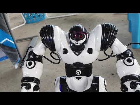 Original robosapien versus