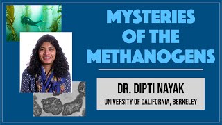 Dipti Nayak (UC Berkeley) 2: Mysteries of the Methanogens