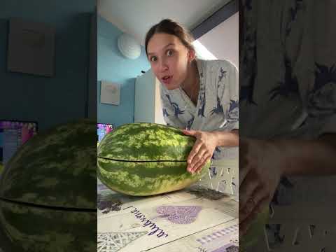 Батя хороший арбуз
