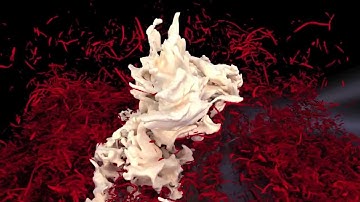 DNS of a Turbulent Boundary Layer: Rendered velocity and vorticity clusters