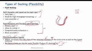 Molecular Docking Program (Part-4)|| Molecular Docking