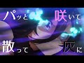 【ウマ娘MAD】ライスシャワー【天皇賞春】【パッと咲いて散って灰に】