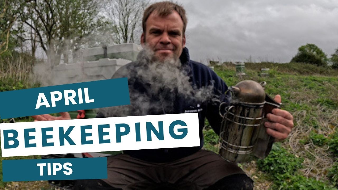 April Beekeeping – 10 Critical Things You Must Do Right Now - YouTube