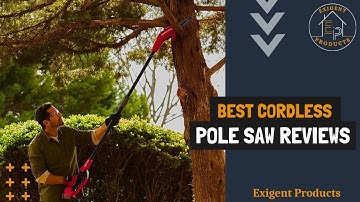 5 Best Cordless Pole Saws for Tree Trimming & Pruning [Reviewed in 2025]