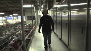 Labatt Brewery Tour Video