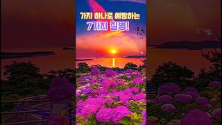 🌱 가지 하나로 예방하는 7가지 질병! 당신의 건강을 지켜줄 비밀! 🌱#가지 #건강 #질병예방