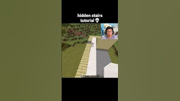 Minecraft Hidden Stairs Moment