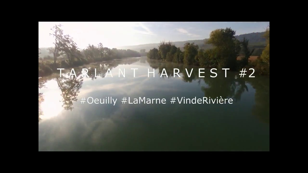 Harvest 2016 Episode 2 YouTube