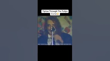 Tiptoe Through The Tulips Curse😳 #shorts