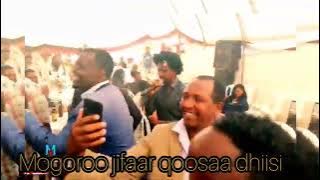 Mogoroo jifaar qoosaa dhiisi new oromo music (2022) Torban YouTube