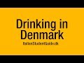 Italian Student Guide - Drinking in Denmark