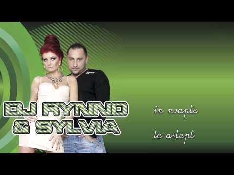 Dj Rynno & Sylvia  - Noi Doi ( Audio )