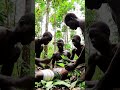 Healing Roots The Power Of Nature And Tradition In The African Jungle 