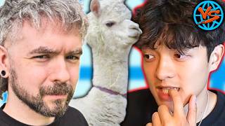 Internet VS JasonTheWeen's Petting Zoo