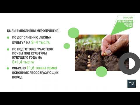 В Татарстане в 2023 году лесовосстановление проведено на площади 3,6 тыс. га
