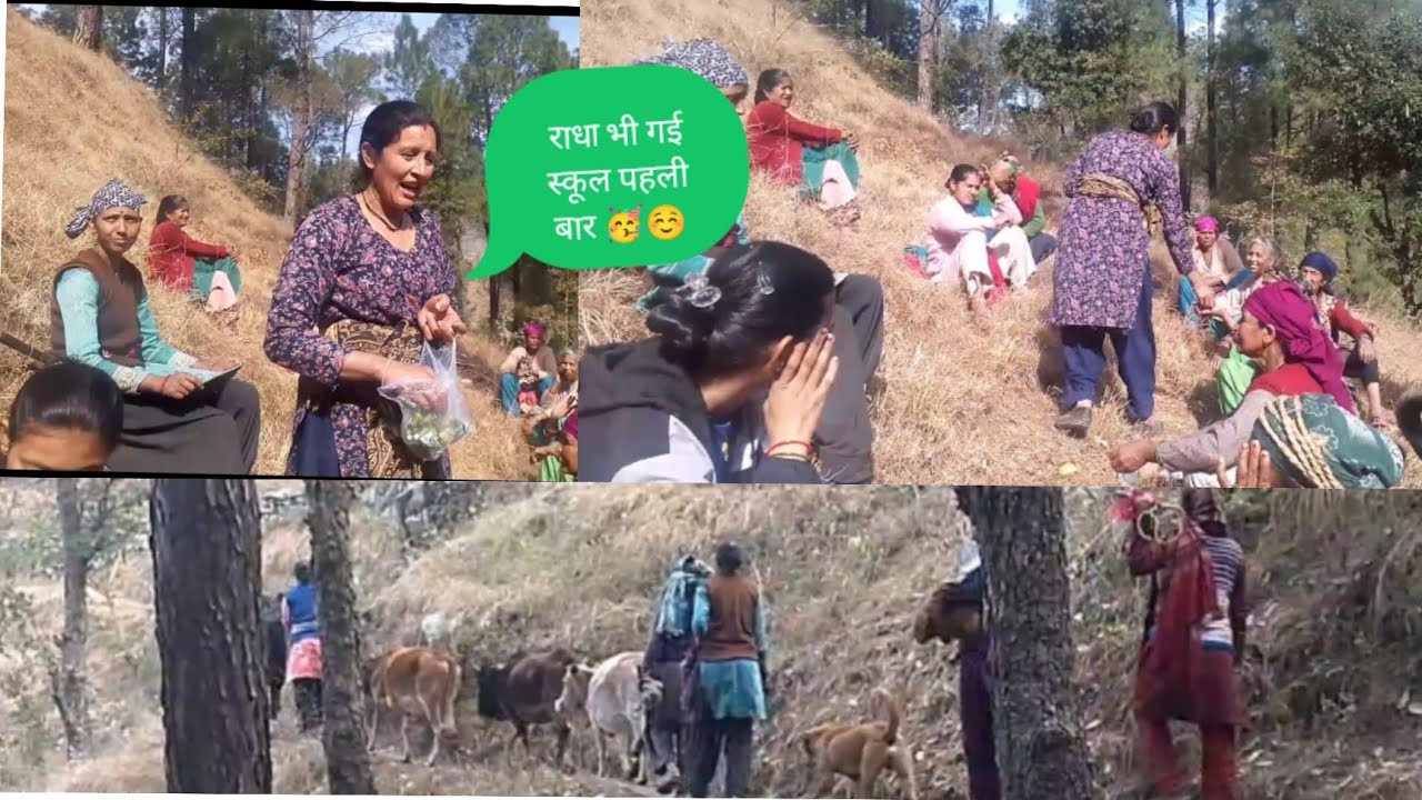 राधा भी गई आज पहली बार स्कूल राधा की दादी ने जंगल में दी सबको टॉफी 😊 देवभूमि उत्तराखंड