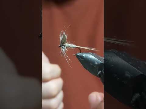 Fly Tying Blue Dun Variant
