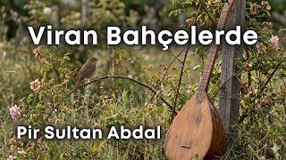 Viran Bahçelerde Bülbül Öter Mi, Ezgi Su, Pir Sultan Abdal, Sazlı Yolcu