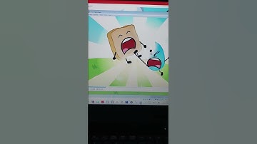 BFDI 1a Crashed due to a command