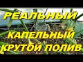 1 литр в сутки.Супер простой капельный полив из любой посуды.