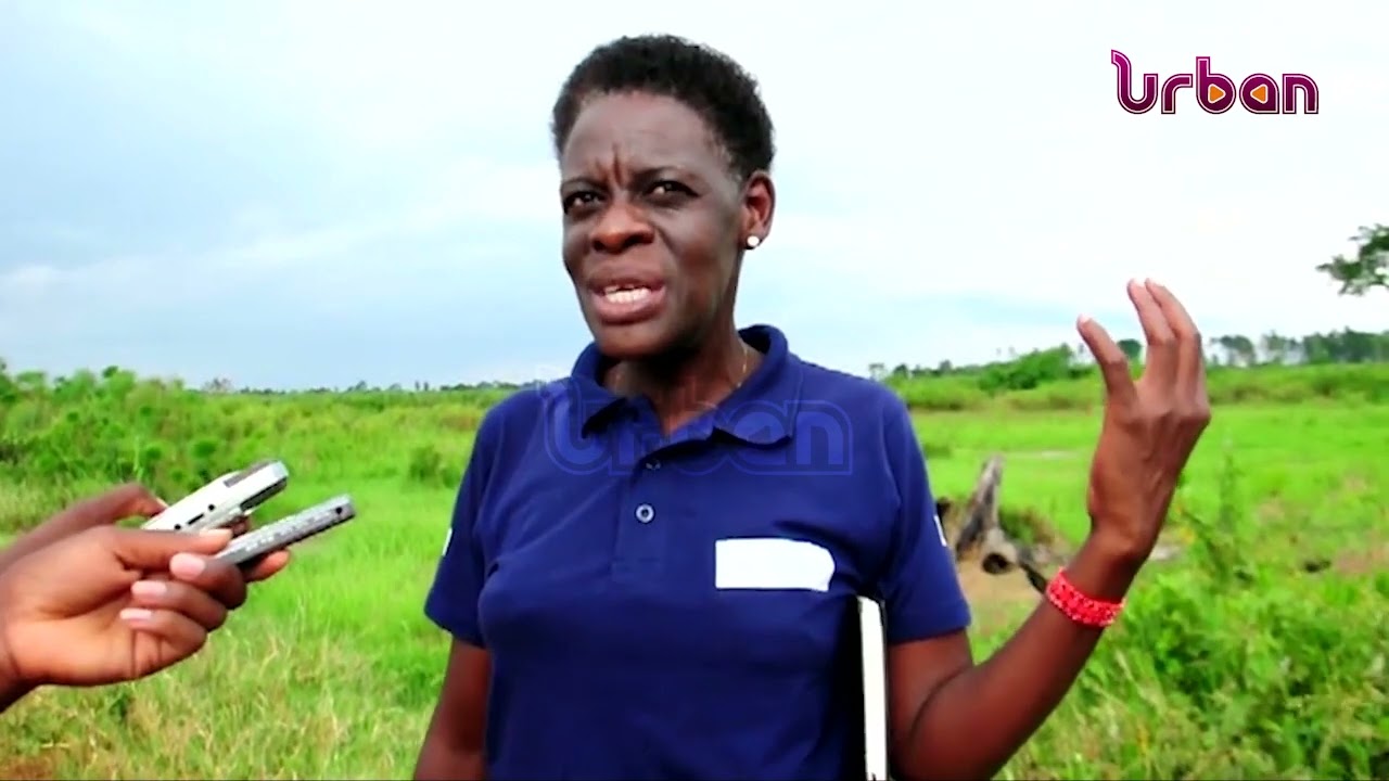 Alcohol distillation equipment impounded