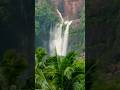 Tirupati kapila theertham waterfalls now michawng cyclone effect #tirupati #tirumala#kapilatheertham