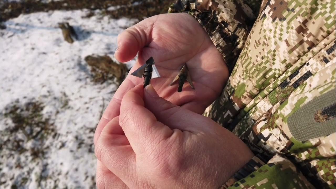 QAD Exodus Broadheads auf Bogenjagd in Ungarn YouTube