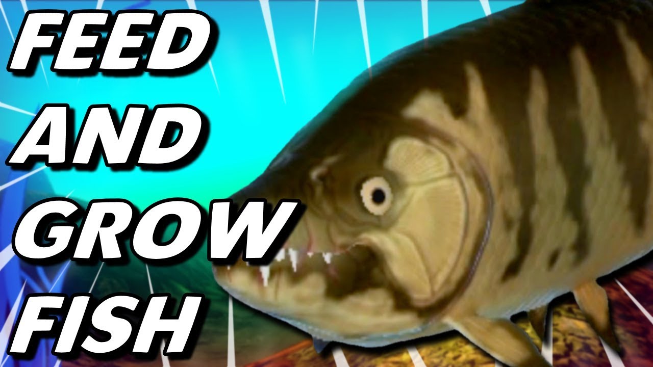 Tigerfish, Feed and Grow Fish Wikia