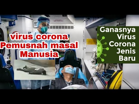 waspada-!!!-coranavirus-305-orang-meninggal-dunia-dan-lebih-dari-14.000-terinfeksi-virus-corona