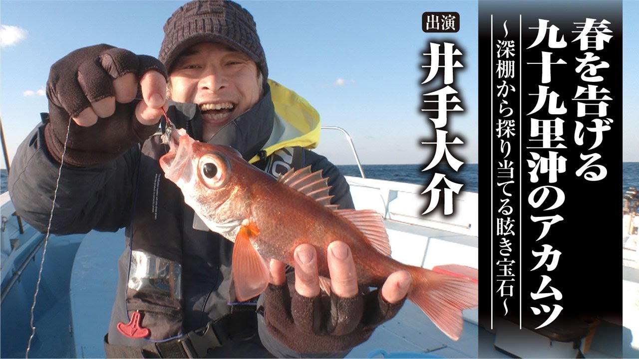 558 Akamutsu off the coast of Kujukuri heralds the arrival of