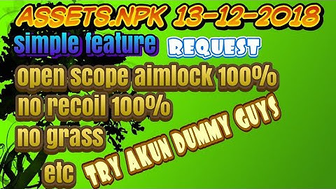 ASSETS.NPK SIMPLE FEATURE AIMLOCK REQUEST.