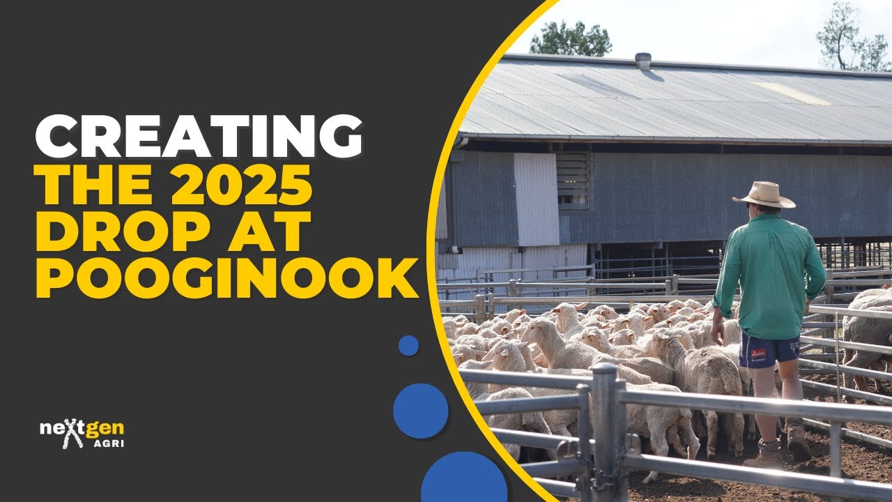 Creating the 2025 Drop at Pooginook - YouTube