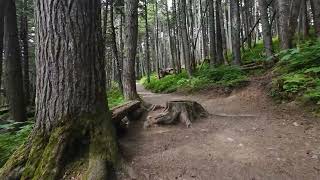 Winner Creek Trail