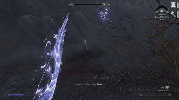 Skyrim Anniversary Edition - Sanguine Rose Staff (Summons Dremora)