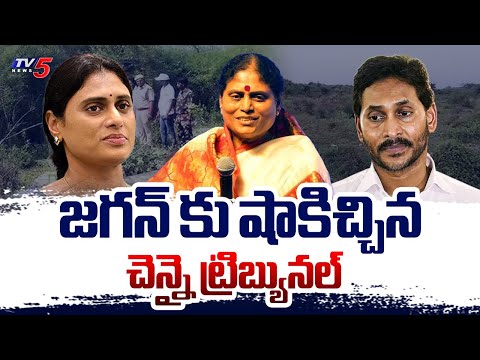 కీలక మలుపు : Chennai Tribunal Shock To YS Jagan | Sarswathi Power Shares | YS Vijaya | TV5 News - TV5NEWS