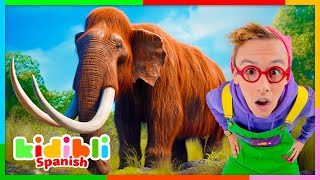 ¡Aprendamos Sobre La Prehistoria! | Vídeos Educativos Para Niños | Kidibli