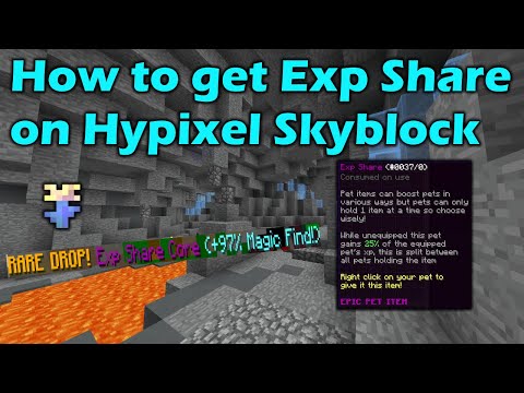 Como chegar Exp Share on Hypixel Skyblock