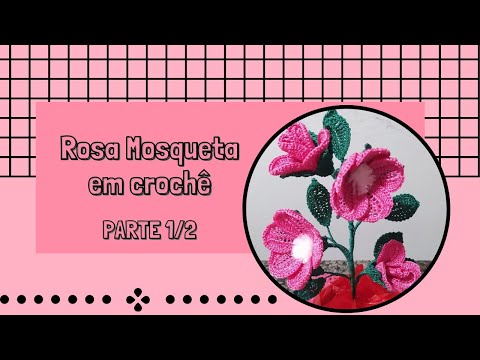 Vídeo: Como Tricotar Um Padrão De Rosa Mosqueta