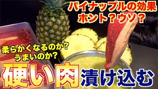 検証 硬い肉はパイナップルで柔らかくなるのか Youtube
