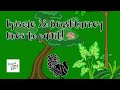 Episode 33: Brushturkey likes to paint! 🎨 (Aussie Tiny Tales short stories)