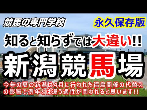 【競馬】新潟競馬場 攻略ポイント 初心者にも分かり易く徹底解説【競馬の専門学校】