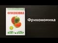 Литрич. Обзор книги «Фрикономика»