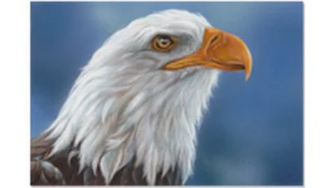 Speed Painting--Eagle-...  and Gouache